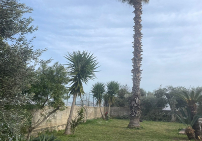 Casa Vacanze Villa Villa Valentina